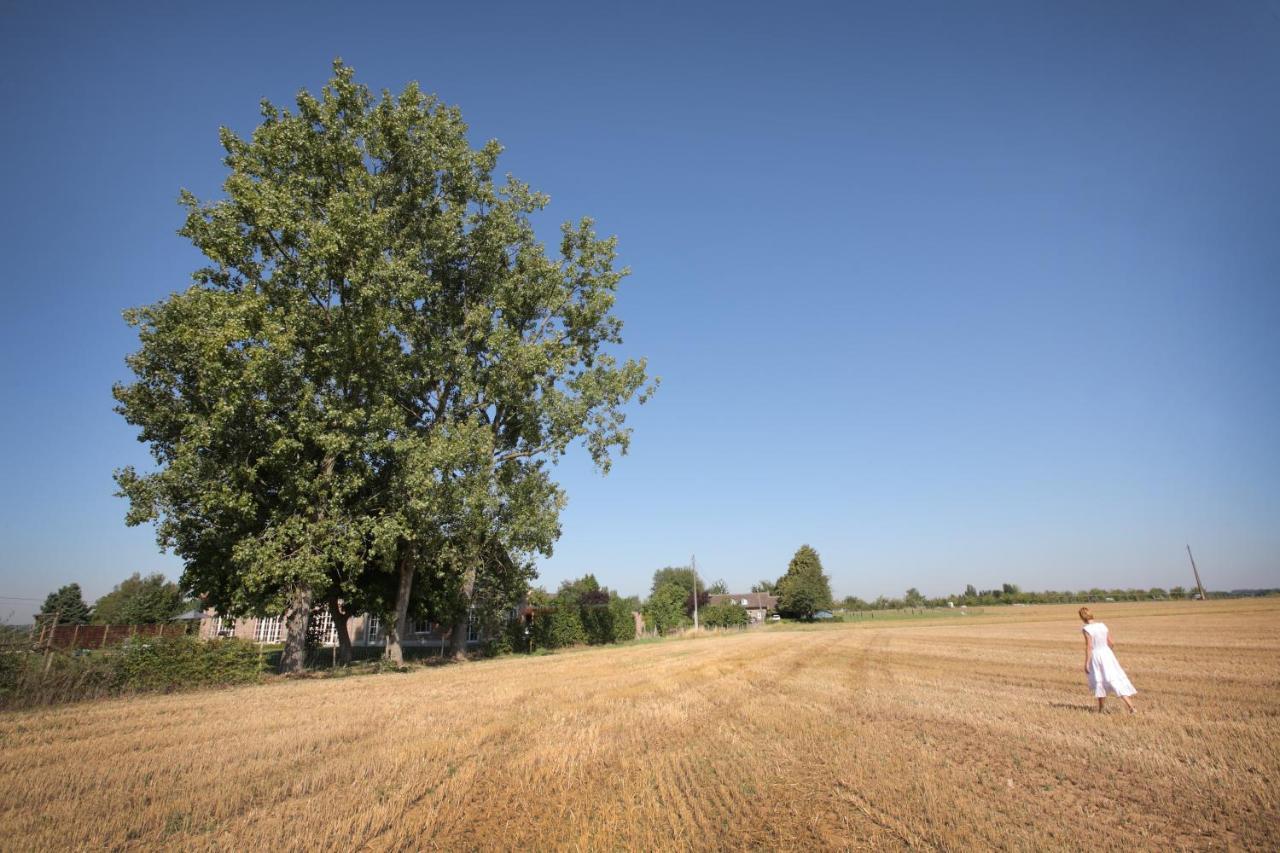B&B Het Rooj Holsbeek Zewnętrze zdjęcie